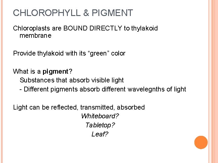 CHLOROPHYLL & PIGMENT Chloroplasts are BOUND DIRECTLY to thylakoid membrane Provide thylakoid with its