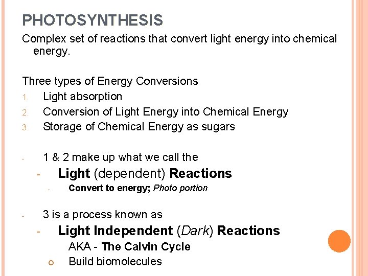 PHOTOSYNTHESIS Complex set of reactions that convert light energy into chemical energy. Three types