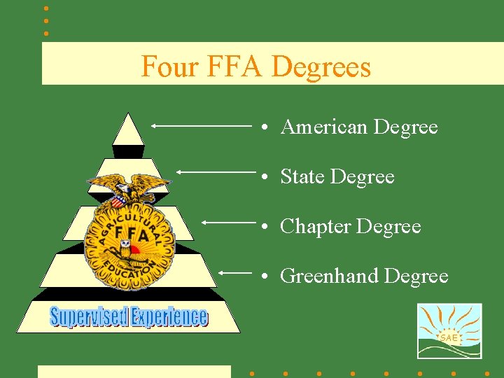 Four FFA Degrees • American Degree • State Degree • Chapter Degree • Greenhand