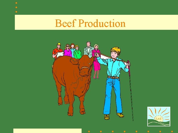 Beef Production SAE 