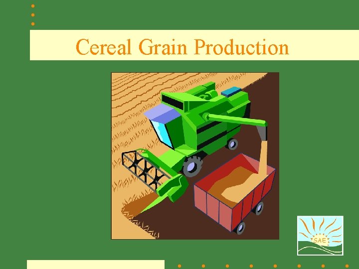 Cereal Grain Production SAE 