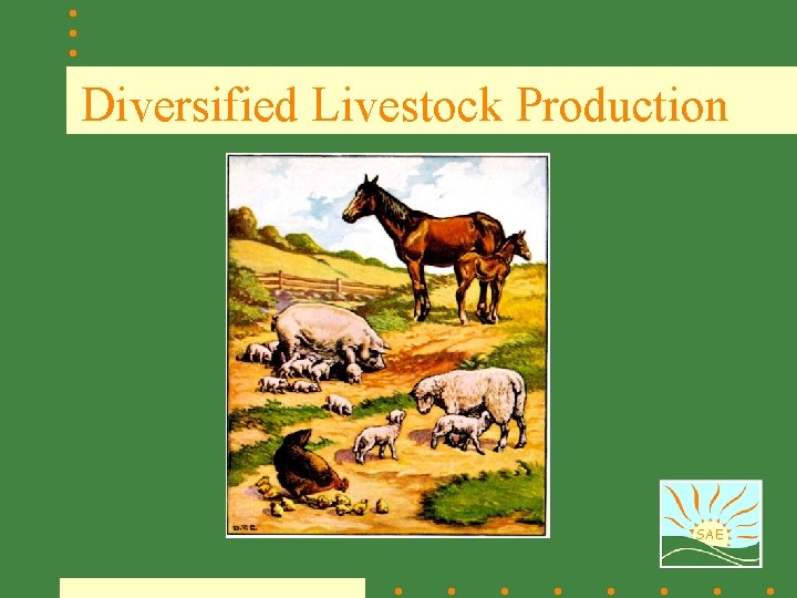 Diversified Livestock Production SAE 