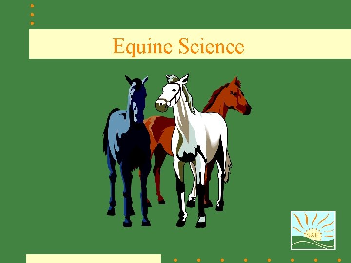 Equine Science SAE 