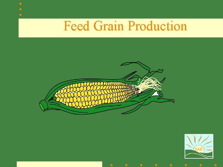 Feed Grain Production SAE 