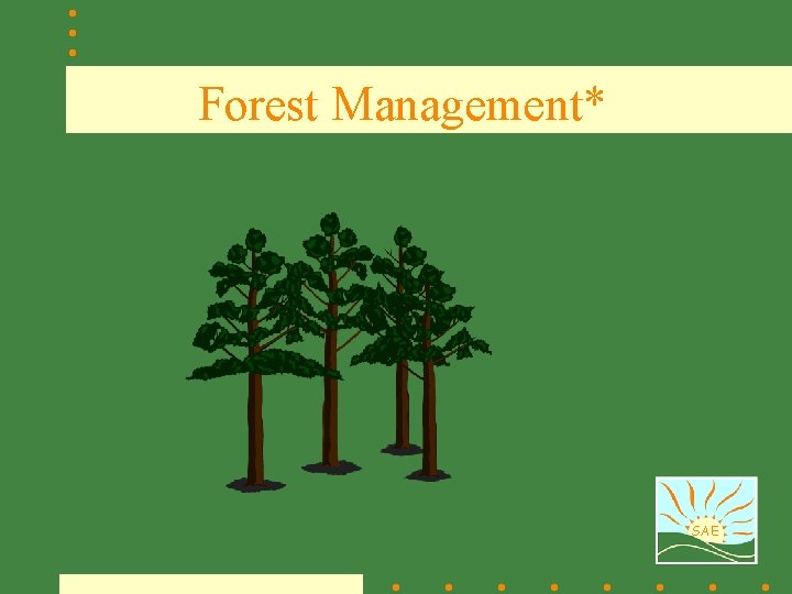 Forest Management* SAE 