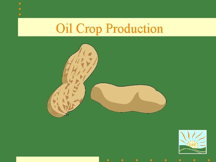 Oil Crop Production SAE 