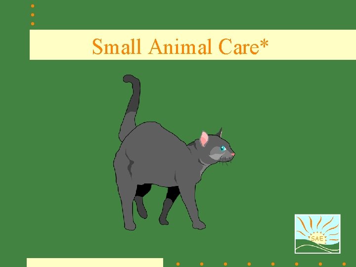 Small Animal Care* SAE 