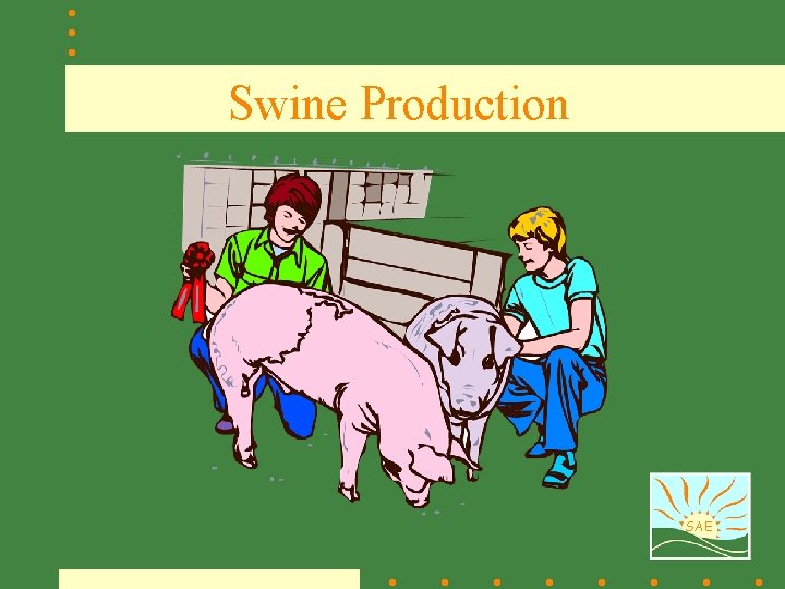 Swine Production SAE 