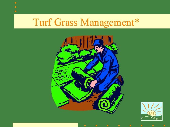 Turf Grass Management* SAE 