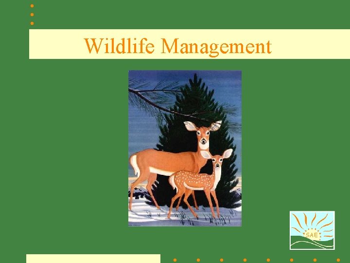 Wildlife Management SAE 