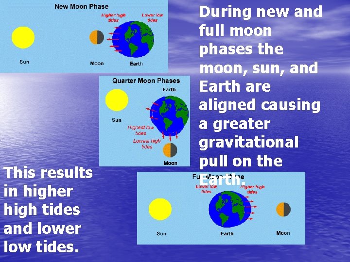 This results in higher high tides and lower low tides. During new and full