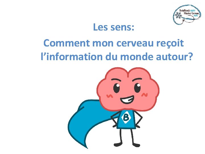 Les sens: Comment mon cerveau reçoit l’information du monde autour? 