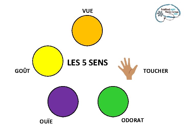 VUE LES 5 SENS GOÛT OUÏE TOUCHER ODORAT 