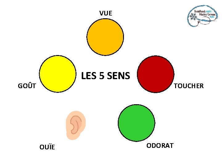 VUE LES 5 SENS GOÛT OUÏE TOUCHER ODORAT 