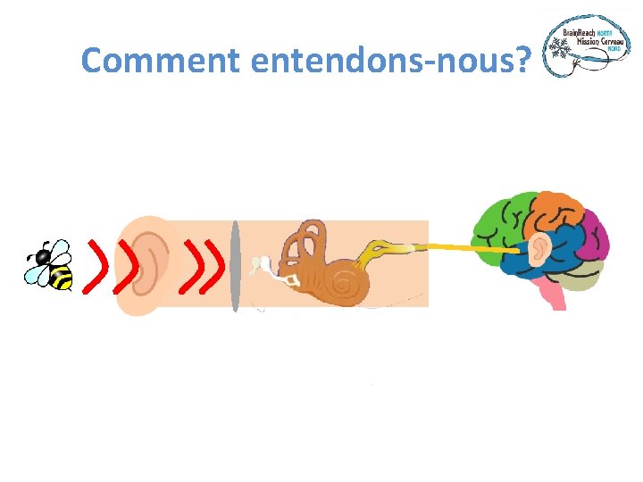 Comment entendons-nous? 