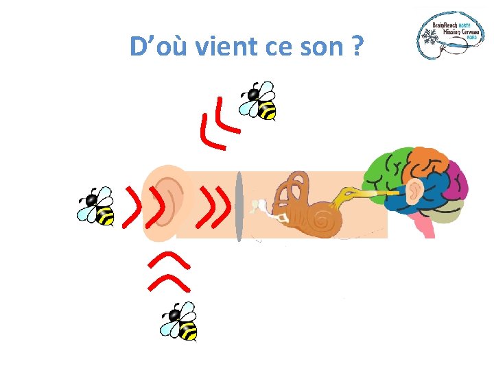 D’où vient ce son ? 