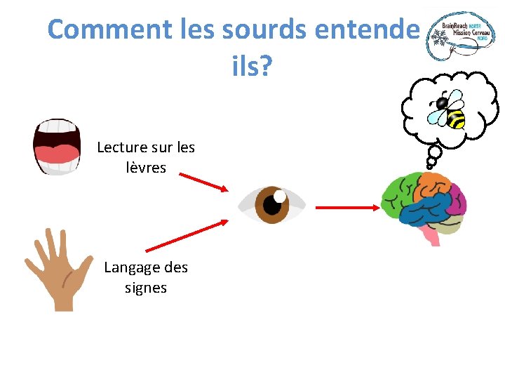 Comment les sourds entendentils? Lecture sur les lèvres Langage des signes 