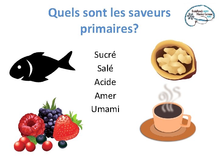 Quels sont les saveurs primaires? Sucré Salé Acide Amer Umami 