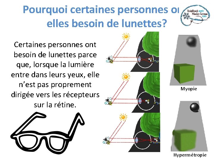 Pourquoi certaines personnes ontelles besoin de lunettes? Certaines personnes ont besoin de lunettes parce