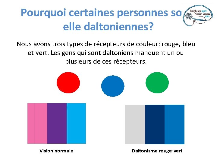 Pourquoi certaines personnes sontelle daltoniennes? Nous avons trois types de récepteurs de couleur: rouge,