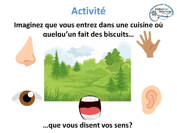 Activité Imaginez que vous entrez dans une cuisine où quelqu’un fait des biscuits… …que