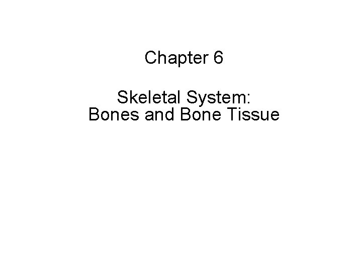Chapter 6 Skeletal System: Bones and Bone Tissue 