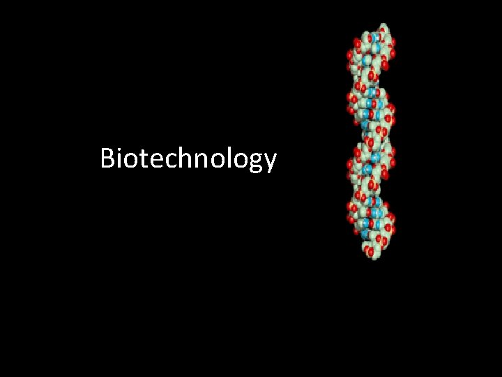 Biotechnology 