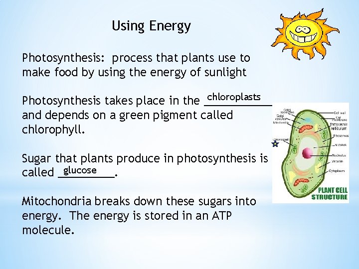 Using Energy Photosynthesis: process that plants use to make food by using the energy