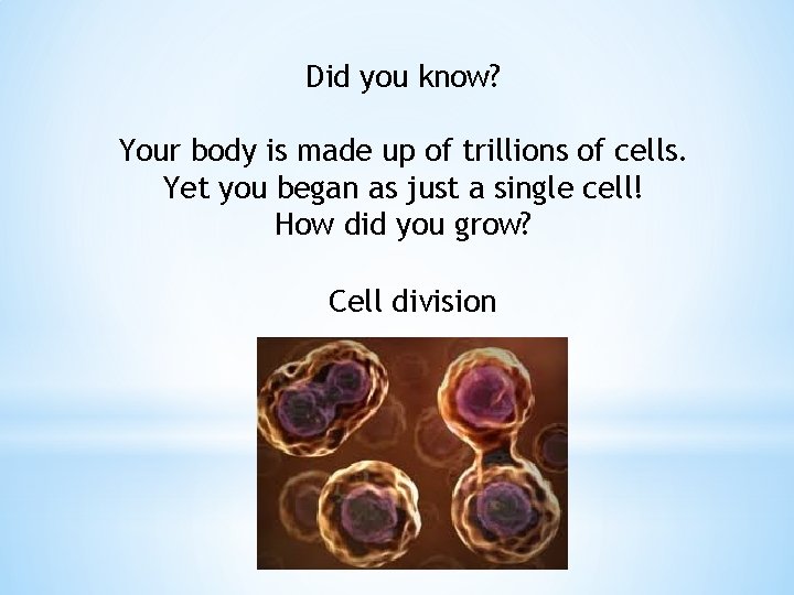 Did you know? Your body is made up of trillions of cells. Yet you