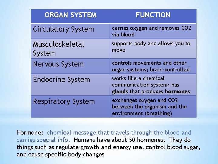 ORGAN SYSTEM FUNCTION Circulatory System carries oxygen and removes CO 2 via blood Musculoskeletal