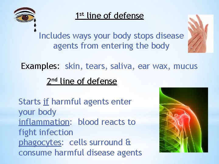 1 st line of defense Includes ways your body stops disease agents from entering