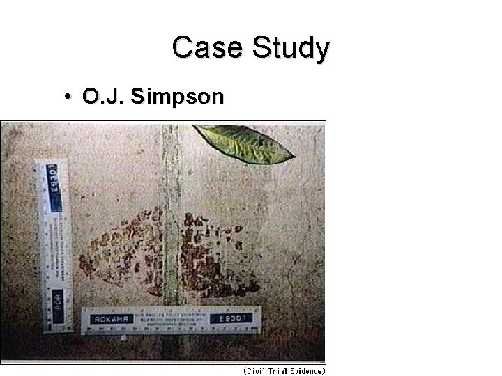 Case Study • O. J. Simpson 