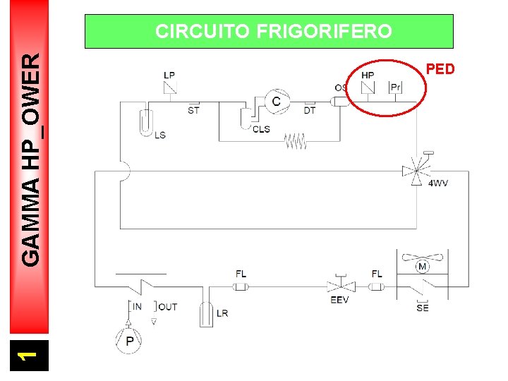 1 GAMMA HP_OWER CIRCUITO FRIGORIFERO PED 