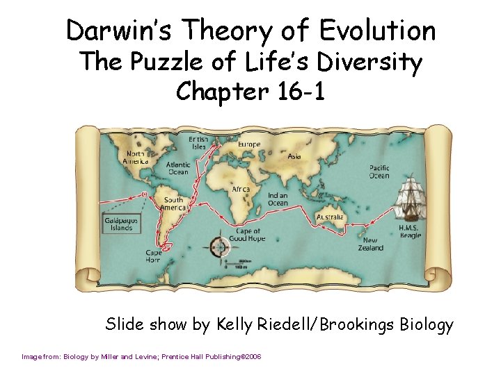 Darwin’s Theory of Evolution The Puzzle of Life’s Diversity Chapter 16 -1 Slide show