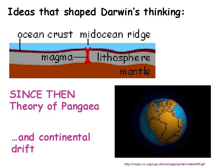 Ideas that shaped Darwin’s thinking: SINCE THEN Theory of Pangaea …and continental drift http: