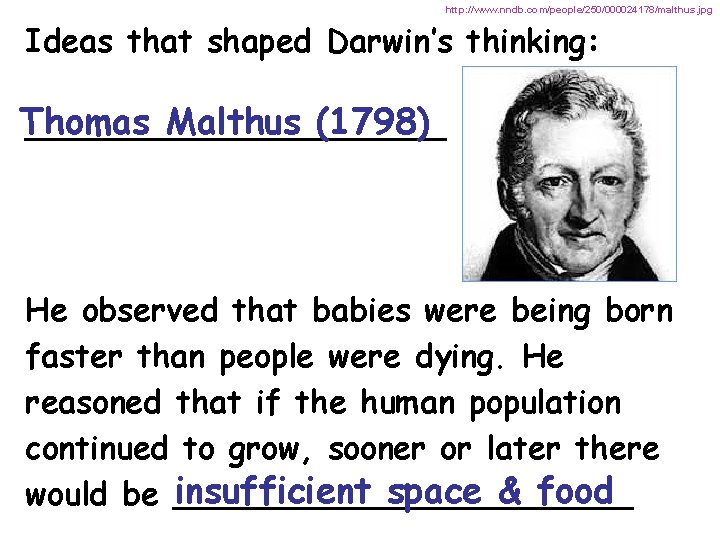 http: //www. nndb. com/people/250/000024178/malthus. jpg Ideas that shaped Darwin’s thinking: Thomas Malthus (1798) ___________