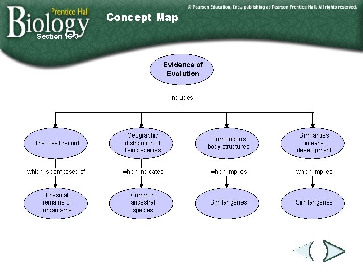 Concept Map Section 16 -3 Evidence of Evolution includes The fossil record Geographic distribution