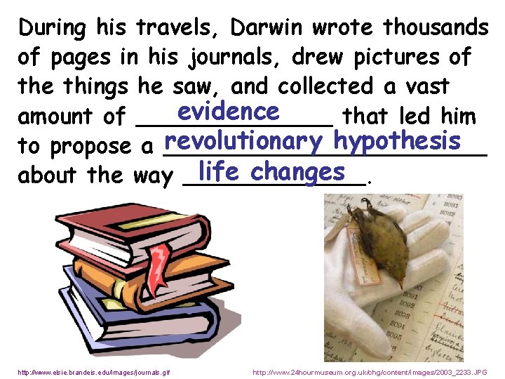 During his travels, Darwin wrote thousands of pages in his journals, drew pictures of