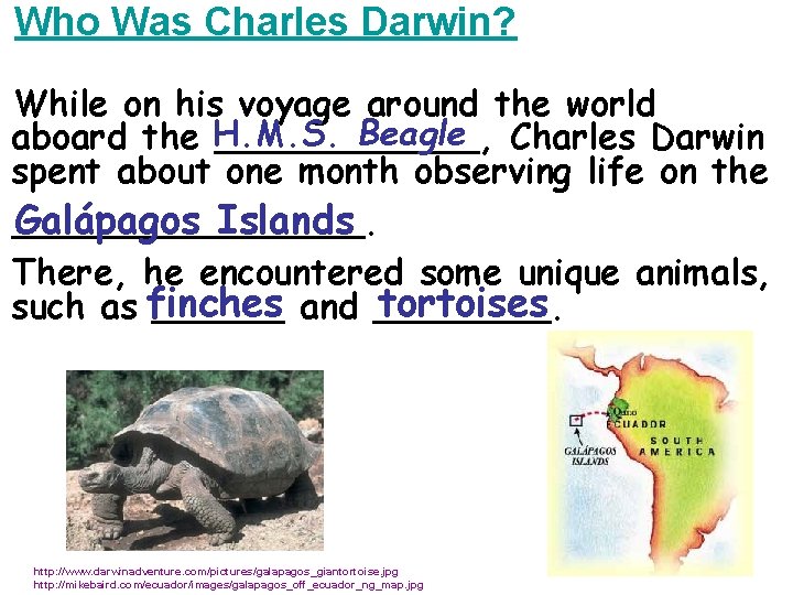 Who Was Charles Darwin? While on his voyage around the world Beagle Charles Darwin