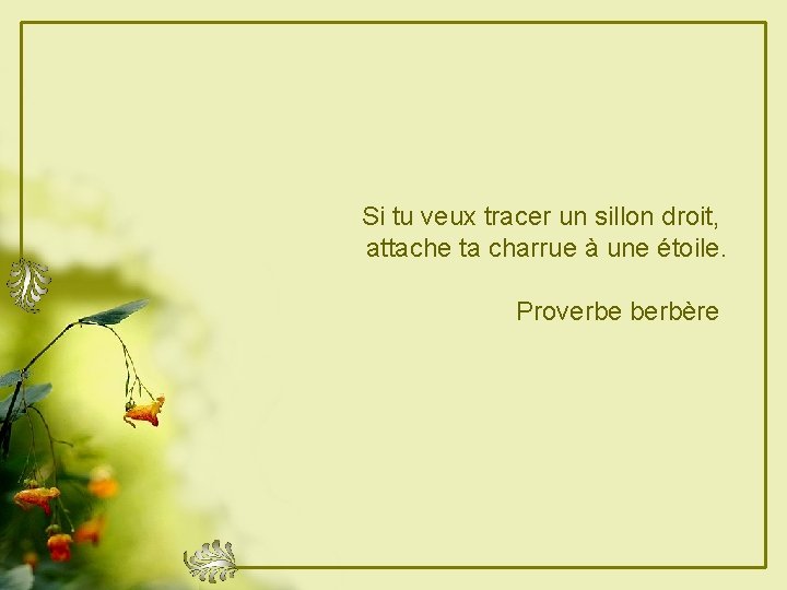 Si tu veux tracer un sillon droit, attache ta charrue à une étoile. Proverbe