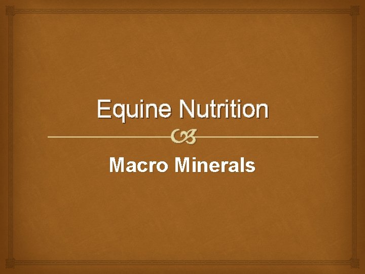 Equine Nutrition Macro Minerals 