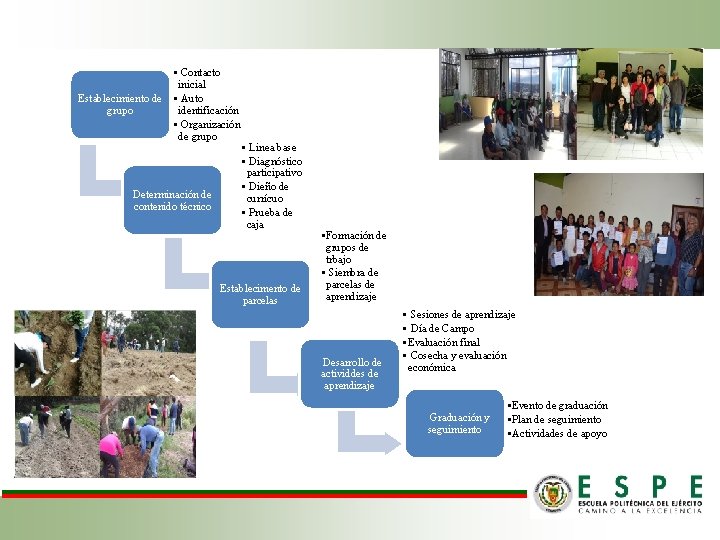 Establecimiento de grupo • Contacto inicial • Auto identificación • Organización de grupo Determinación