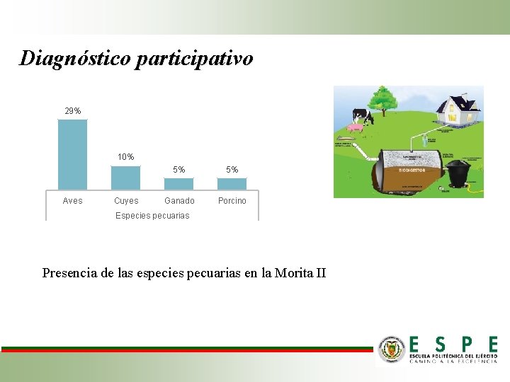 Diagnóstico participativo 29% 10% Aves Cuyes 5% 5% Ganado Porcino Especies pecuarias Acceso y