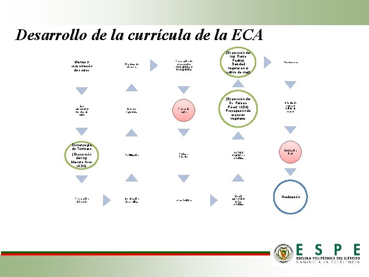 Desarrollo de la currícula de la ECA Manejo y conservación de suelos Técnicas de