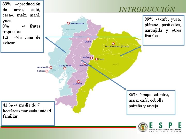 89% ->producción de arroz, café, cacao, maíz, maní, yuca 8% -> frutas tropicales 1.