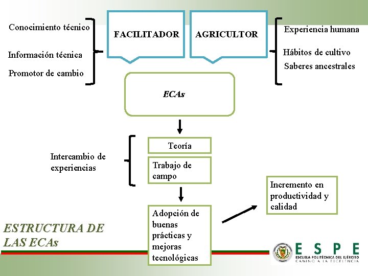 Conocimiento técnico FACILITADOR AGRICULTOR Experiencia humana Hábitos de cultivo Información técnica Saberes ancestrales Promotor