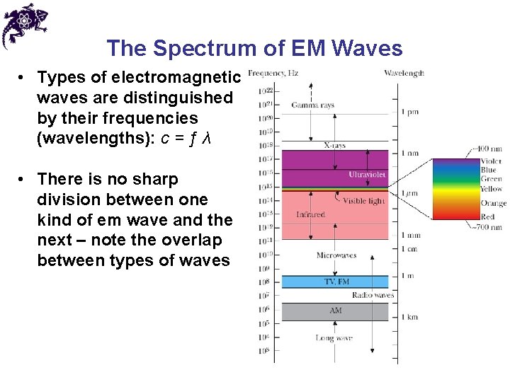 The Spectrum of EM Waves • Types of electromagnetic waves are distinguished by their