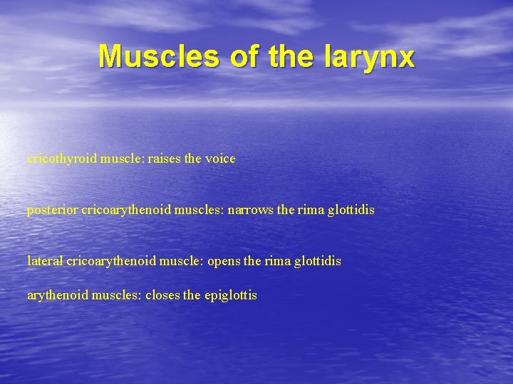Muscles of the larynx cricothyroid muscle: raises the voice posterior cricoarythenoid muscles: narrows the