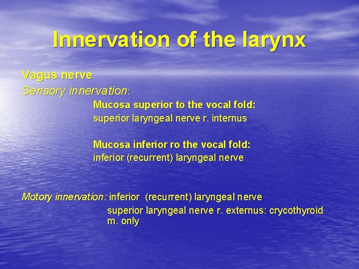 Innervation of the larynx Vagus nerve Sensory innervation: Mucosa superior to the vocal fold: