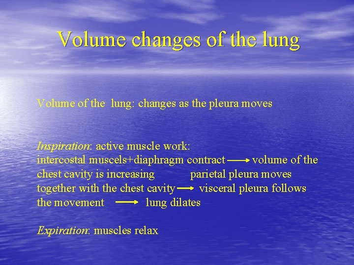 Volume changes of the lung Volume of the lung: changes as the pleura moves